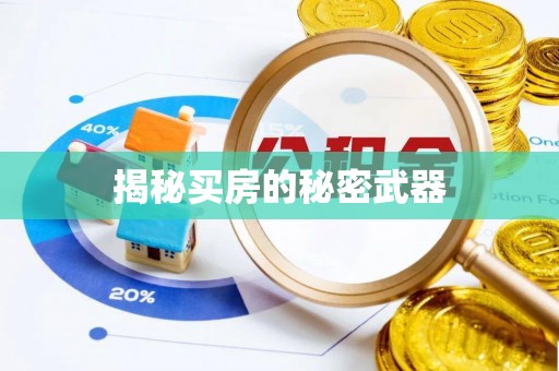 东阳揭秘买房的秘密武器