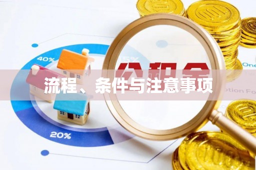 东阳流程、条件与注意事项