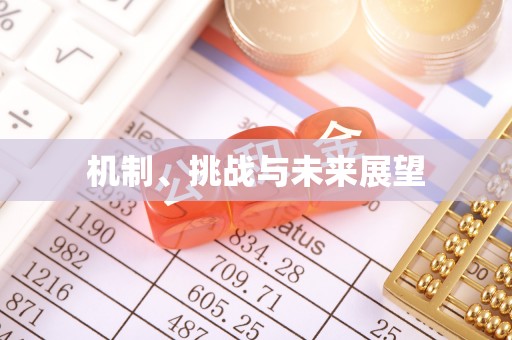 东阳机制、挑战与未来展望